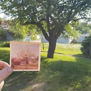 Meet your Posher, Rich